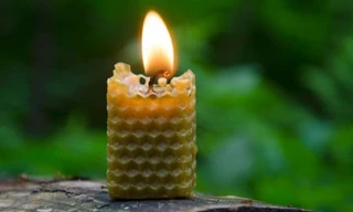 5 cách tự nhiên để làm sạch không khí tại nhà