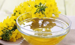 Dầu hạt cải giúp giảm béo bụng