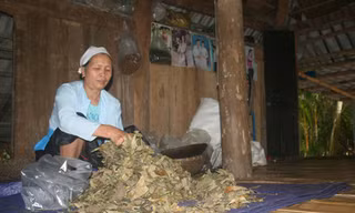 Bà lang với bài thuốc 'cải tử hoàn sinh'