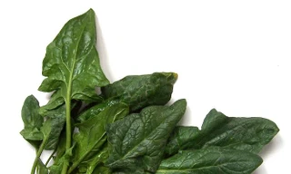 Cải bó xôi ngừa cảm cúm