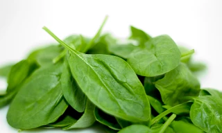  Rau bó xôi bổ dưỡng, chữa bệnh