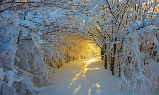 Những con đường mòn thơ mộng như tranh 