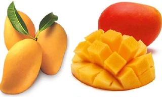 Lợi ích chữa bệnh tuyệt vời của quả xoài 