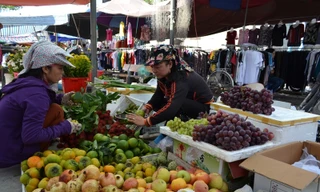 Một ngày khám phá phiên chợ Gốc ở Thái Bình