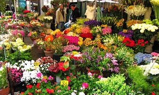 7 khu chợ hoa rực rỡ sắc màu khắp thế giới