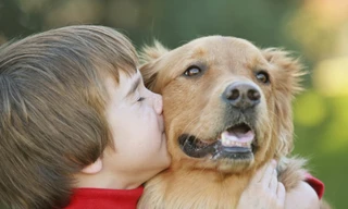 Ảnh minh họa từ Internet