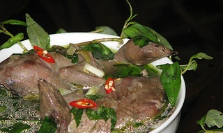 Chim cút thuôn hành răm