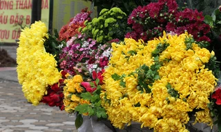 10 loại hoa thường cắm trong gia đình xứ Bắc ngày Tết