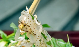 Sứa biển: Ngon nhưng phải đề phòng!