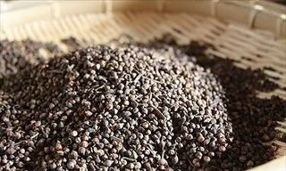 Vì sao nên chuẩn bị sẵn than hoạt tính phòng ngộ độc dịp lễ Tết?