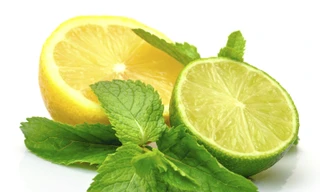 Tác dụng chữa bệnh hiệu quả của trái chanh