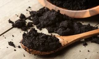 Ảnh minh họa: Internet