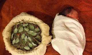 'Liên sinh', trào lưu sinh con mới lạ 