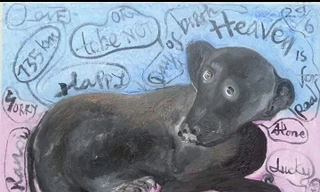 Yêu mãi kiểu Bùi Hoàng Dương