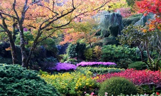 Những 'vườn địa đàng' đẹp hút hồn trên thế giới