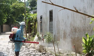 Cách dọn và khử trùng nhà cửa sau mưa ngập