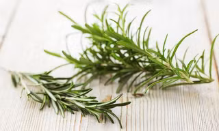Hai loại rau thơm chữa bệnh tiểu đường
