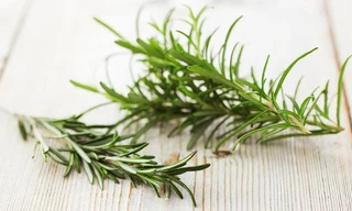 Hai loại rau thơm chữa bệnh tiểu đường