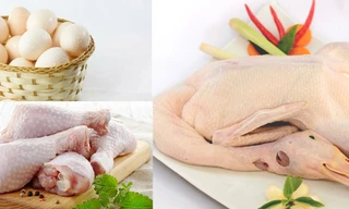 Thực phẩm bệnh nhân ung thư nên ăn