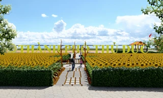 Bờ đông sông Sài Gòn sẽ rực rỡ sắc hoa hướng dương vào Tết Dương lịch 2024