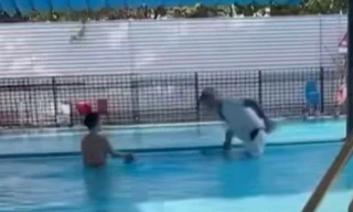 Bản tin 8H: Nguyên nhân người đàn ông dìm cháu bé xuống bể bơi ở Hà Nội