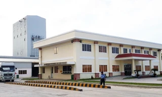 Bản tin 8H: 11 công nhân nhập viện sau bữa ăn trưa