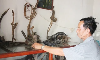 Tủ trưng bày gỗ lũa của ông Nguyễn Ngọc Cũi Ảnh: Trường Văn