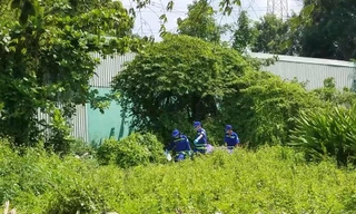 Phát hiện người đàn ông tử vong tư thế treo cổ trong bụi cây 