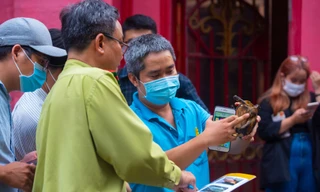 Phát hiện nhiều loại rùa quý hiếm được phóng sinh ở chùa Ngọc Hoàng