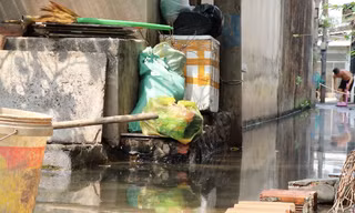 TPHCM: Người dân khốn khổ vì con hẻm 10 năm nước ngập ứ đọng, ruồi muỗi bủa vây 