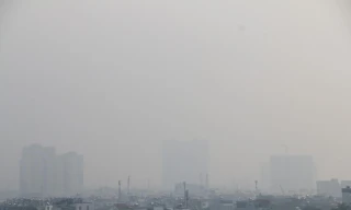 TPHCM se lạnh, sương mù dày đặc vào buổi sáng 