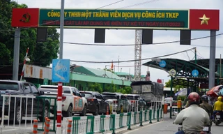 TPHCM: Tạm đình chỉ công tác Phó Giám đốc phà Cát Lái 