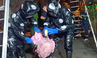 Nín thở xem cảnh sát di dời tổ ong vò vẽ 'khủng' ở khu dân cư