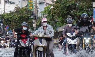 Hợp tác với Nhật Bản chống sụt lún nền đất ở TPHCM 