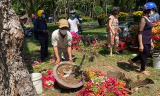TPHCM: Trưa 29 Tết, tiểu thương cắt bỏ hoa, thu dọn hoàn trả mặt bằng