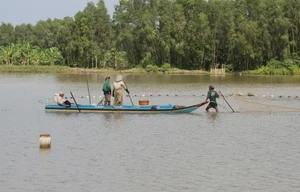 Ảnh chỉ có tính minh họa. Ảnh: Thanh Vũ(TTXVN)