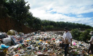 Đào bới thu gom phế liệu trên rác