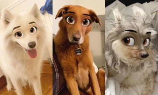 Ứng dụng Snapchat giành riêng cho đại boss