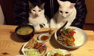 Niềm hạnh phúc ngọt ngào khi được ăn ngon