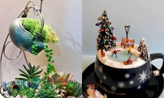 Thế giới thu nhỏ trong ly trà