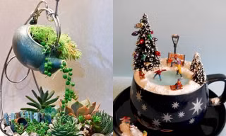 Thế giới thu nhỏ trong ly trà