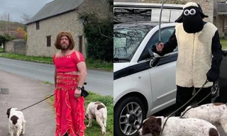 Dắt chó đi dạo 