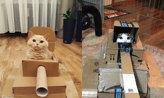 xe tăng tự chế của đại boss