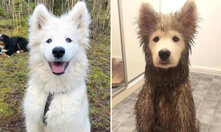 Lợi ích việc tắm bùn