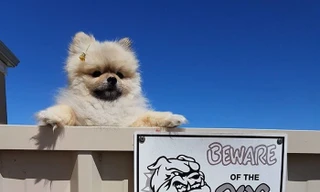 Những tấm biển cảnh báo dễ thương