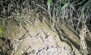 Phát hiện bộ xương người dưới gầm đường dẫn cao tốc ở TPHCM