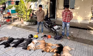 Bắt băng trộm chó ném ớt bột vào công an 
