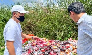 Giám định nguồn gốc lô thuốc, thực phẩm chức năng đổ trộm tại TPHCM