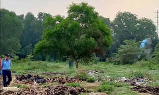 Nam thanh niên tử vong trong tư thế treo cổ ở bãi đất trống