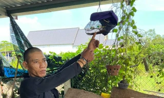 Đi bẫy chim, nam thanh niên không may gặp nhóm cướp 